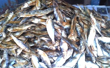 KEMENTERIAN KP: Ekspor Ikan Asin Prospektif